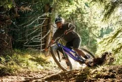 Santa Cruz Bicycles Santa Cruz, Tallboy 5 S-Kit Downhill Bike 2023 24 Santa Cruz Bicycles Santa Cruz, Tallboy 5 S-Kit Downhill Bike 2023 -Mountainbikes Geschäft 34766f31 5657 4a7a a153 5ea78e7b4b72 scb tallboy v5 release images elliot jackson 44bc374