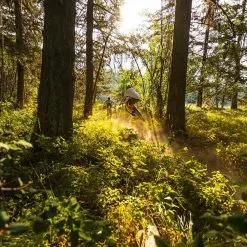 Santa Cruz Bicycles Santa Cruz, 5010 5 S-Kit Trailbike 2023 36 Santa Cruz Bicycles Santa Cruz, 5010 5 S-Kit Trailbike 2023 -Mountainbikes Geschäft 6e62d8a7 f60f 4e09 adda aff9d251824f sized 0000 5a5508