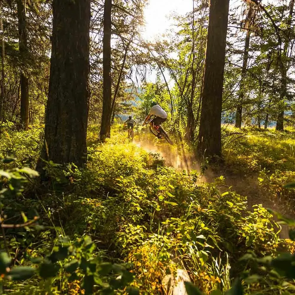 Santa Cruz Bicycles Santa Cruz, 5010 5 S-Kit Trailbike 2023 15 Santa Cruz Bicycles Santa Cruz, 5010 5 S-Kit Trailbike 2023 – Bild 13