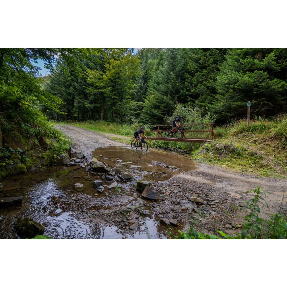 Rondo Ruut AL 1 Gravel Plus Bike 10 Rondo Ruut AL 1 Gravel Plus Bike – Bild 8