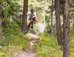 Santa Cruz Bicycles Santa Cruz, 5010 5 S-Kit Trailbike 2023 38 Santa Cruz Bicycles Santa Cruz, 5010 5 S-Kit Trailbike 2023 -Mountainbikes Geschäft 942cdbb3 0cf1 4b61 935f 87465beb4575 5010 vpp slide 2