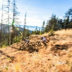 Santa Cruz Bicycles Santa Cruz, 5010 5 GX AXS/RSV-Kit Trailbike 2023 11 Santa Cruz Bicycles Santa Cruz, 5010 5 GX AXS/RSV-Kit Trailbike 2023 -Mountainbikes Geschäft 9950913b c14b 400a b913 80ab806fec68 sized 0001 329272