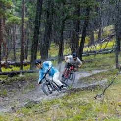 Santa Cruz Bicycles Santa Cruz, 5010 5 S-Kit Trailbike 2023 41 Santa Cruz Bicycles Santa Cruz, 5010 5 S-Kit Trailbike 2023 -Mountainbikes Geschäft df1e8d87 f19f 4622 9f56 1106dae777aa sized 0000 171218