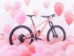 SCOR, 4060 STC GX MTB 2023 24 SCOR, 4060 STC GX MTB 2023 -Mountainbikes Geschäft moodboard scor mountain bikes 4060 st gx yumgum 01