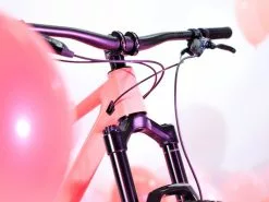 SCOR, 4060 STC GX MTB 2023 27 SCOR, 4060 STC GX MTB 2023 -Mountainbikes Geschäft moodboard scor mountain bikes 4060 st gx yumgum 04