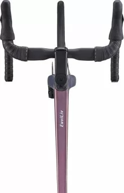 Liv EnviLiv Advanced 2 2023 17 Liv EnviLiv Advanced 2 2023 -Mountainbikes Geschäft my23envilivadvanced2 coloramirage road 9